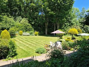 Photo 12- click for photo gallery